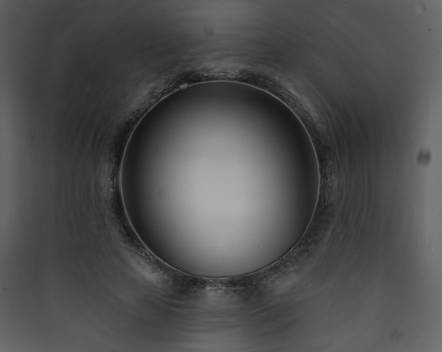 X0000090420641200707131209