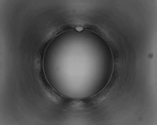 X0000090420642200707131209