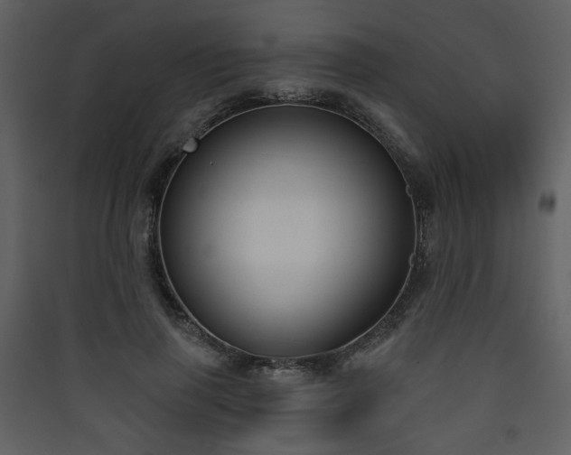 X0000090420645200707131209