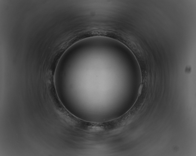 X0000090420649200707131210