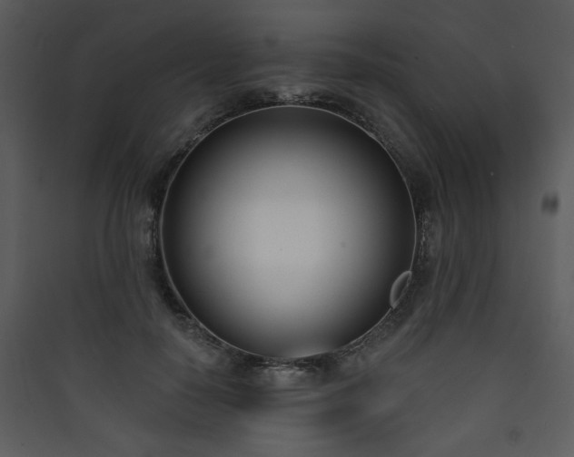 X0000090420650200707131210