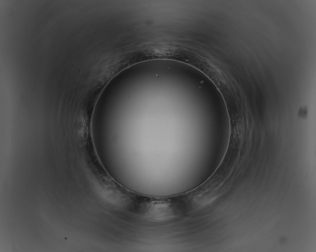 X0000090420651200707131210