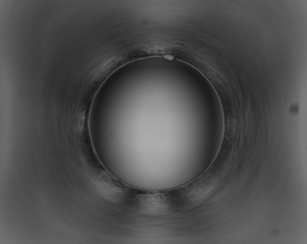 X0000090420652200707131210