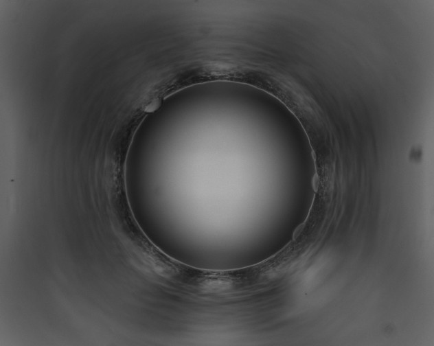 X0000090420653200707131210