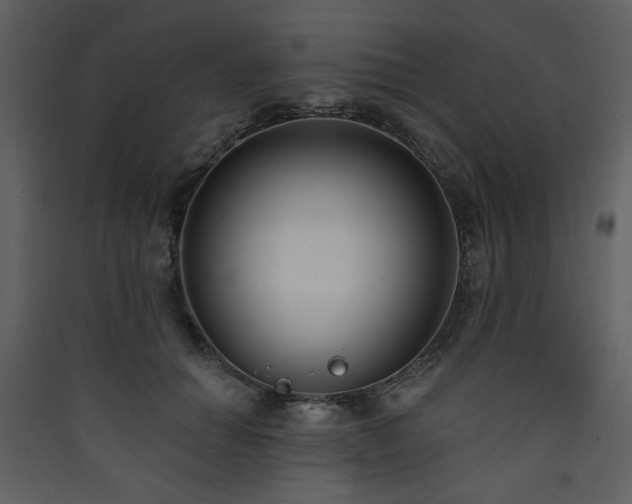 X0000090420654200707131210