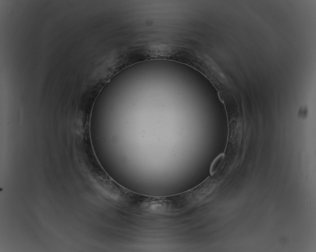 X0000090420655200707131210