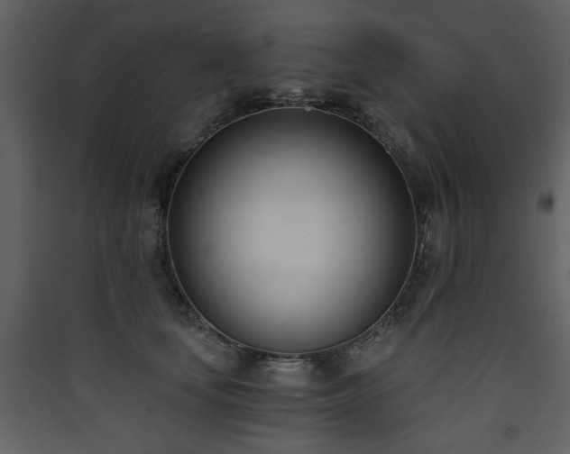 X0000090420659200707131210