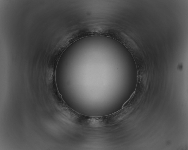 X0000090420660200707131210