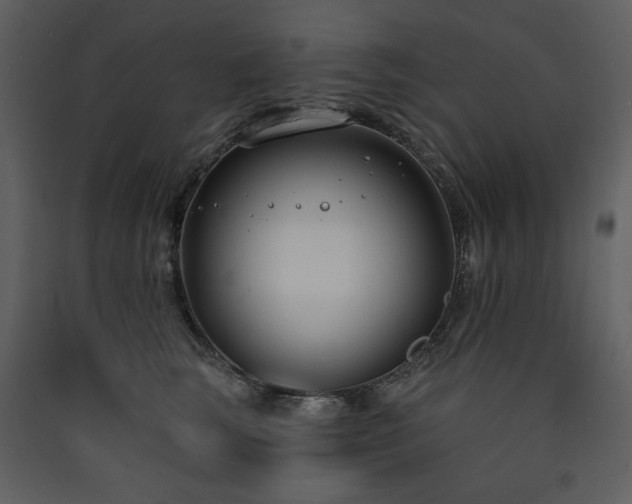 X0000090420663200707131210