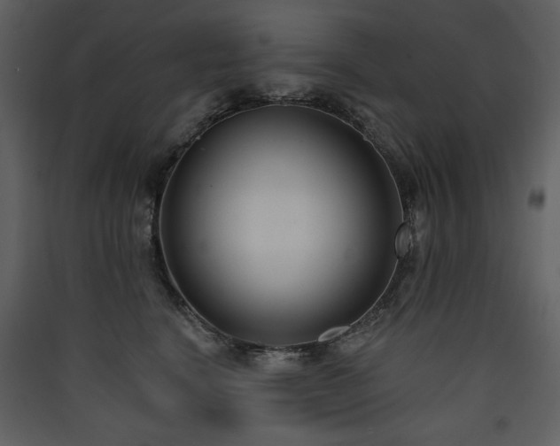 X0000090420664200707131210