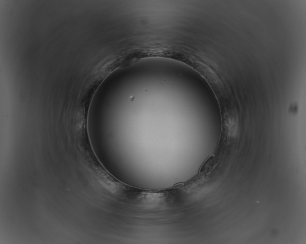 X0000090420665200707131210