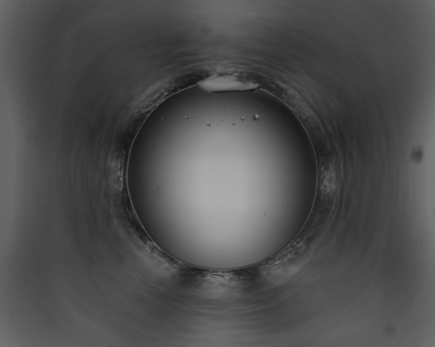 X0000090420666200707131210