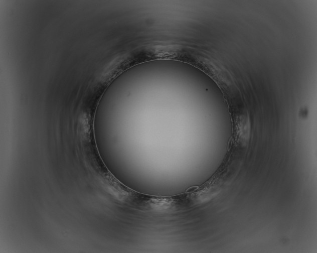 X0000090420667200707131210