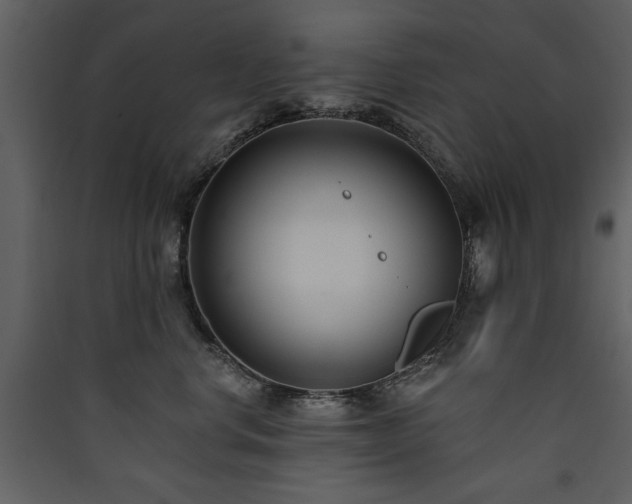 X0000090420668200707131210