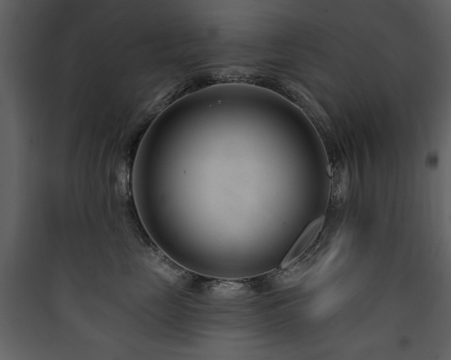 X0000090420669200707131210