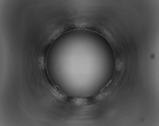 X0000090420670200707131210