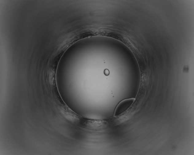 X0000090420671200707131210