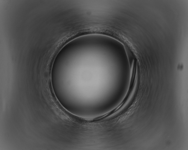 X0000090420673200707131209