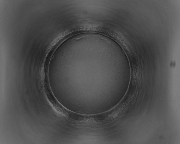 X0000090420674200707131209