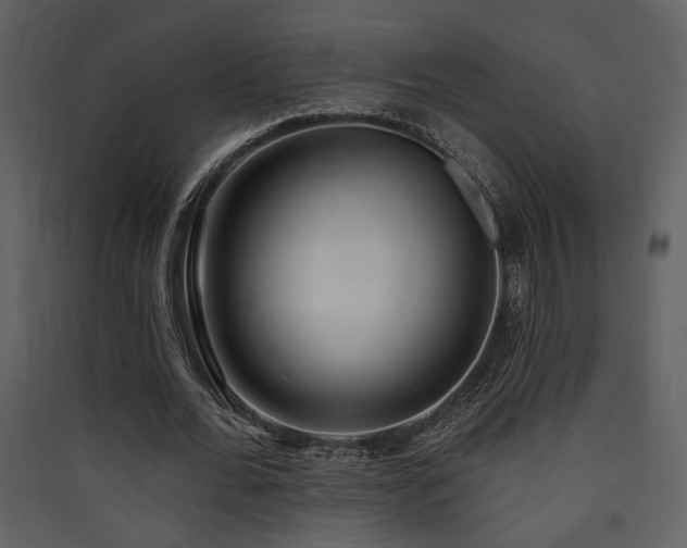 X0000090420676200707131209