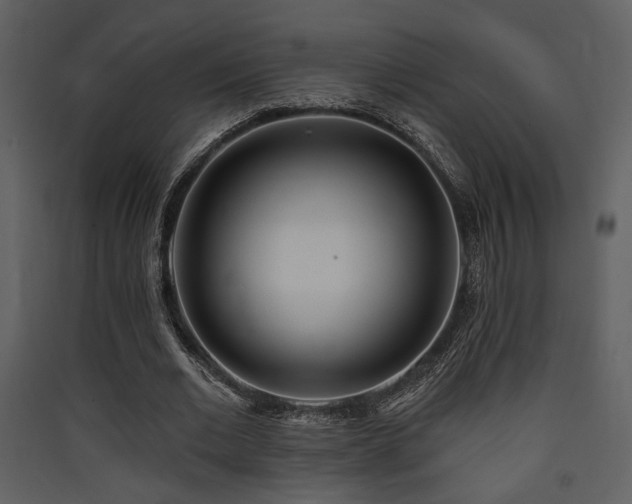 X0000090420677200707131209