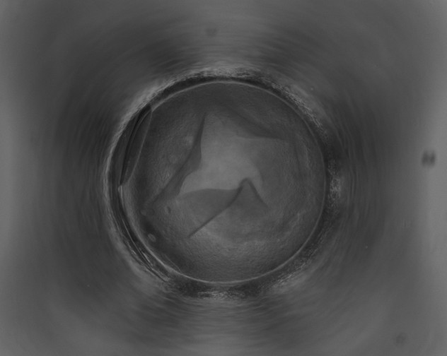 X0000090420678200707131209
