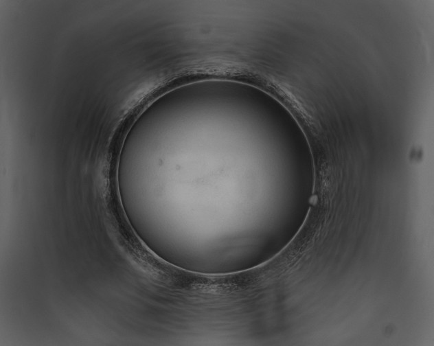 X0000090420679200707131209