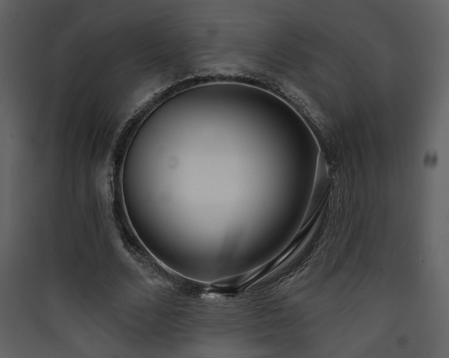 X0000090420680200707131209
