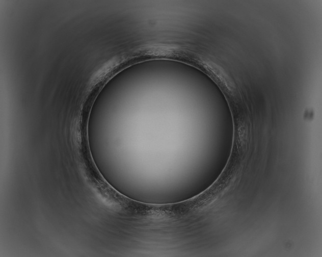 X0000090420682200707131209
