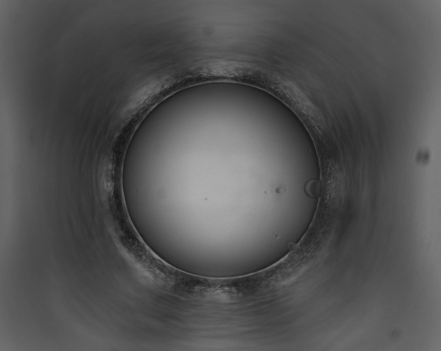 X0000090420683200707131209