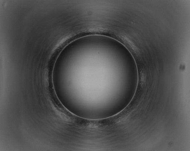 X0000090420684200707131209