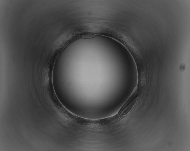 X0000090420685200707131209