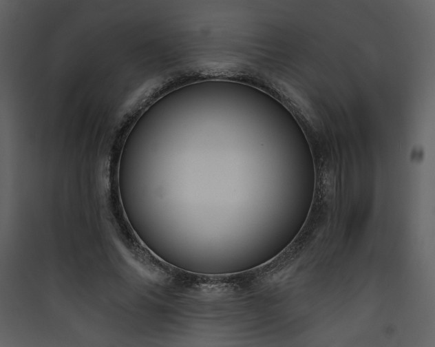 X0000090420686200707131209