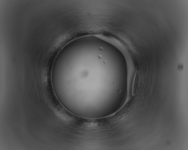 X0000090420687200707131209