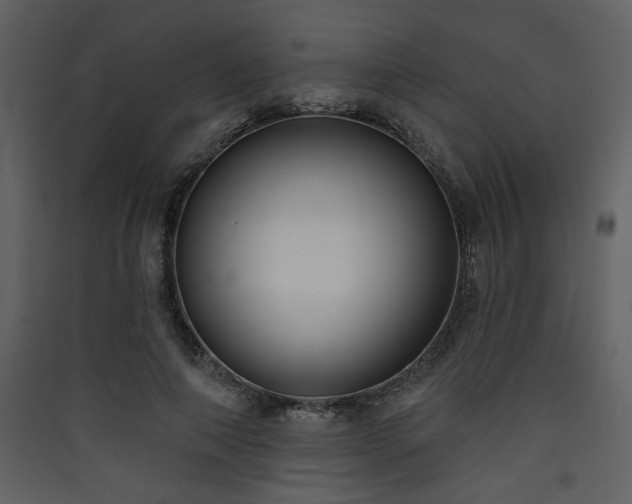 X0000090420690200707131209
