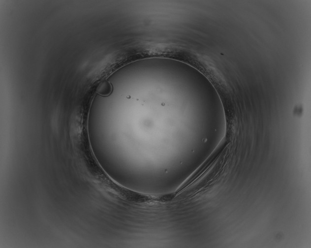 X0000090420691200707131209