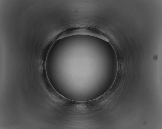 X0000090420692200707131209