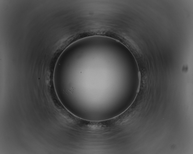 X0000090420693200707131209