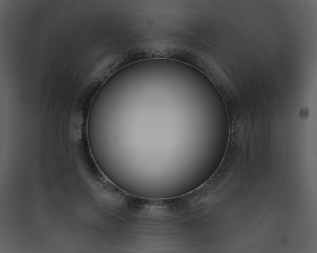 X0000090420694200707131209