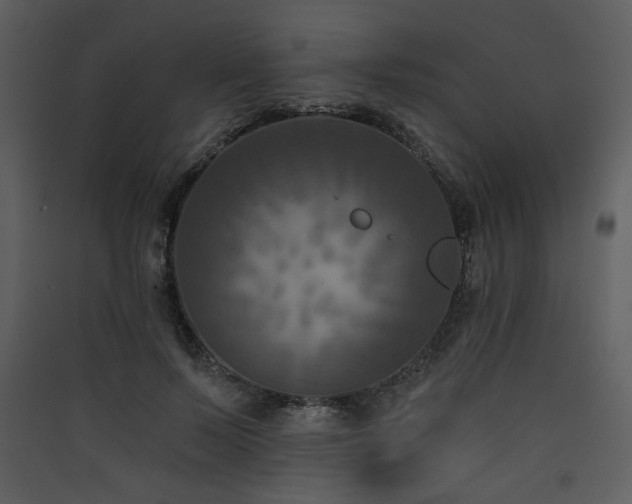 X0000090420695200707131209