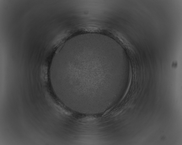 X0000090420696200707131209