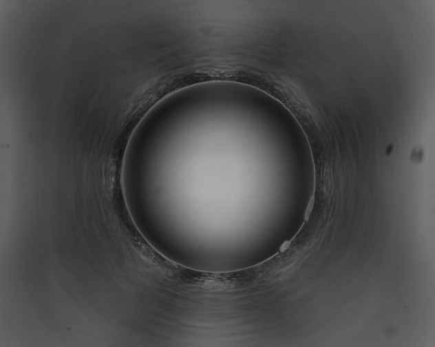 X0000090420697200707131209
