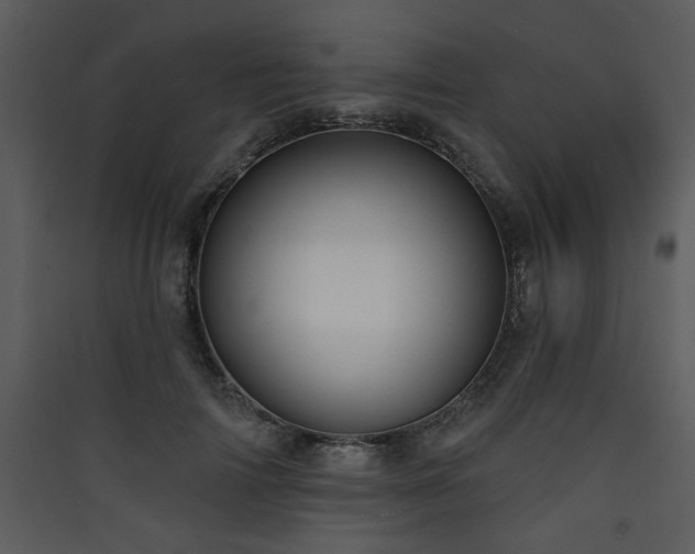 X0000090420698200707131209