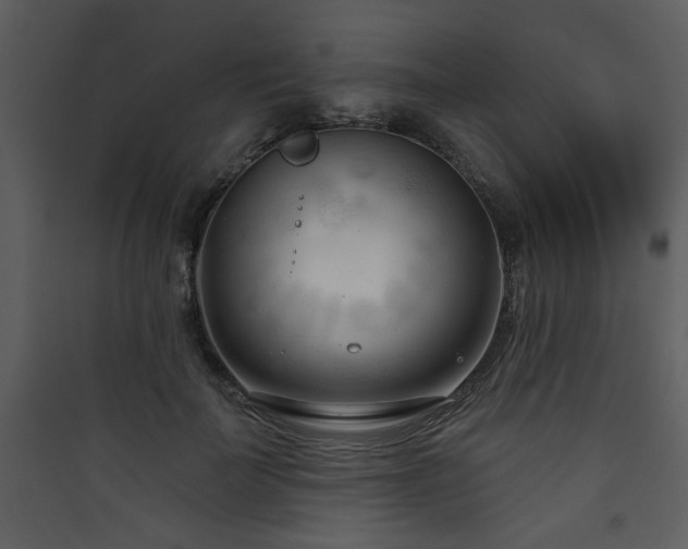 X0000090420699200707131209