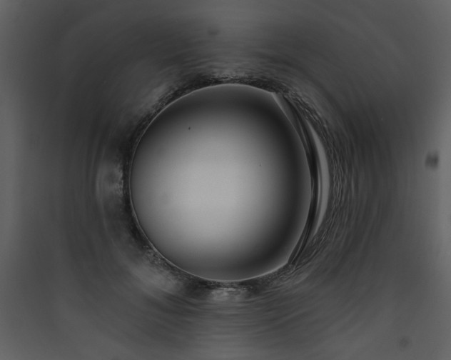X0000090420700200707131209