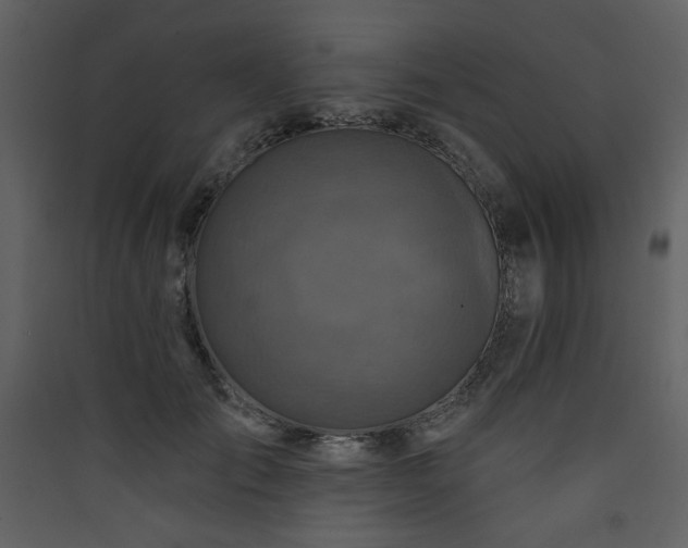 X0000090420701200707131209