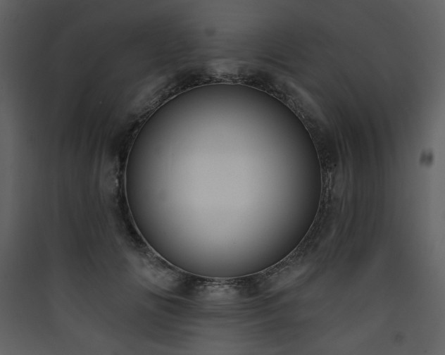 X0000090420702200707131209