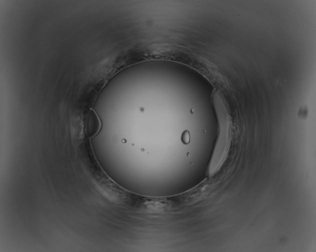 X0000090420703200707131209