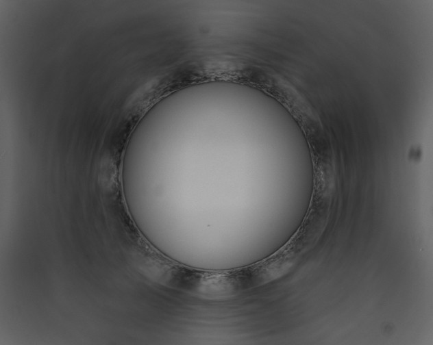 X0000090420705200707131209