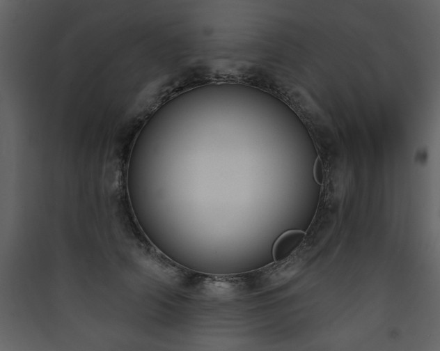 X0000090420706200707131209